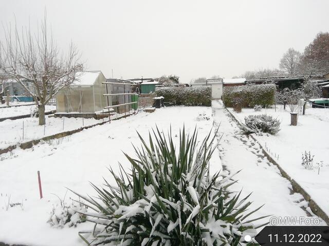 4.12.2022 !!! Gartenschau -Sonntagsbilder 2022 !!!  Temperaturen: Früh 6:11 0,7 Grad minus / 11:01h 2,3° plus / 13:22 h 4,9° plus | Foto: MW-FotoNebra