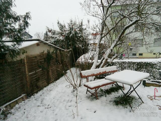Ungemütlich - 11.12.2022 !!! Weihnachtsmarkt / Gartenschau - Sonntagsbilder 2022 !!!  Temperaturen: Früh 6:01 2,7 Grad minus / 11:01h 1,3° plus / 13:22 h 4,9° plus