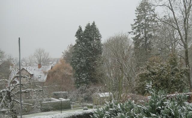 Blick aus dem 1. Stockwerk am 02.12.2022 über die Nachbargärten und einen Teil des HEXENGARTENS in Richtung Krankenhaus (das irgendwo hinter der Tanne ist).