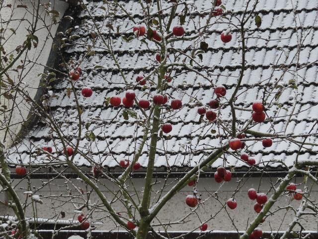 ... und am 02.12.2022.