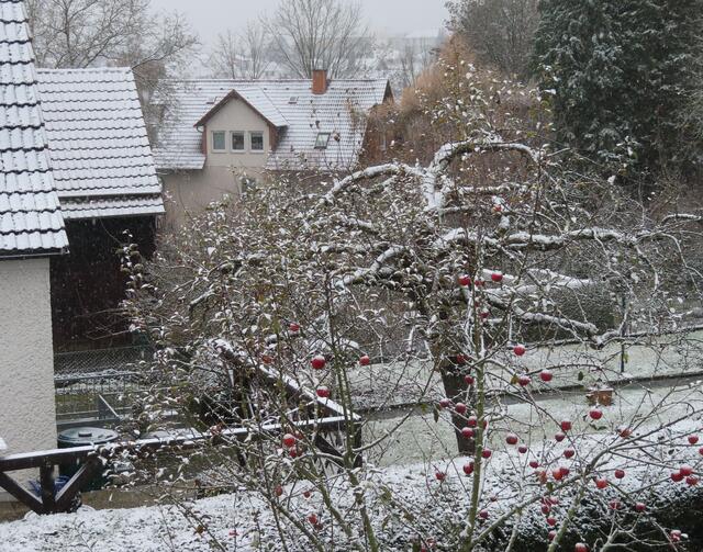 Blick aus dem 1. Stockwerk am 02.12.2022 über den Nachbargarten in Richtung Krankenhaus.