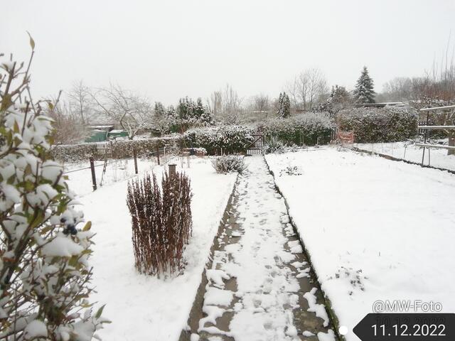 11.12.2022 !!! Weihnachtsmarkt / Gartenschau - Sonntagsbilder 2022 !!!  Temperaturen: Früh 6:01 2,7 Grad minus / 11:01h 1,3° plus / 13:22 h 4,9° plus | Foto: MW-FotoNebra