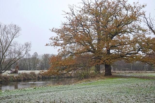 an der Bode