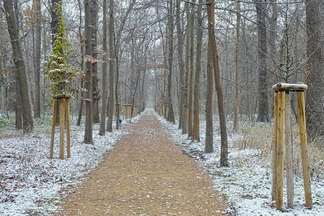 Schlosspark Neugattersleben