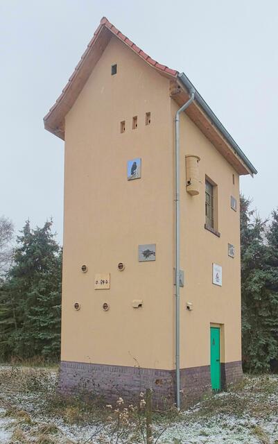 ein altes Trafohaus dient als Vogelhaus in Löbnitz