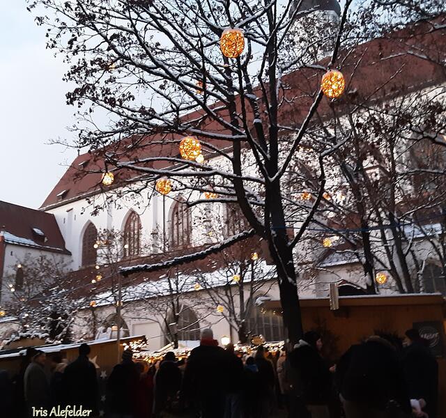 Foto: Iris Alefelder