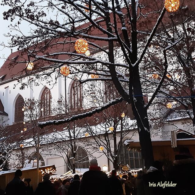 Foto: Iris Alefelder