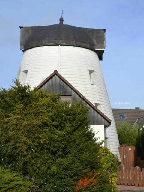Mühlenmontag - Turmholländer in Arnum (Foto: Katja Woidtke)