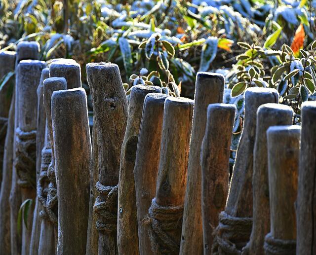 Vor allem im Erlebniszoo Hannover war sogar noch um die Mittagszeit eine eisige Pracht zu bewundern - und zu fotografieren. | Foto: Jens Schade