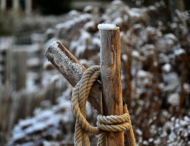 Vor allem im Erlebniszoo Hannover war sogar noch um die Mittagszeit eine eisige Pracht zu bewundern - und zu fotografieren. | Foto: Jens Schade