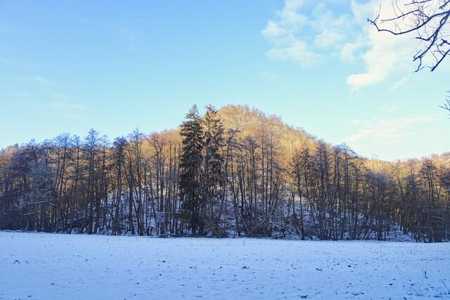 Selketal  mit Selkesicht