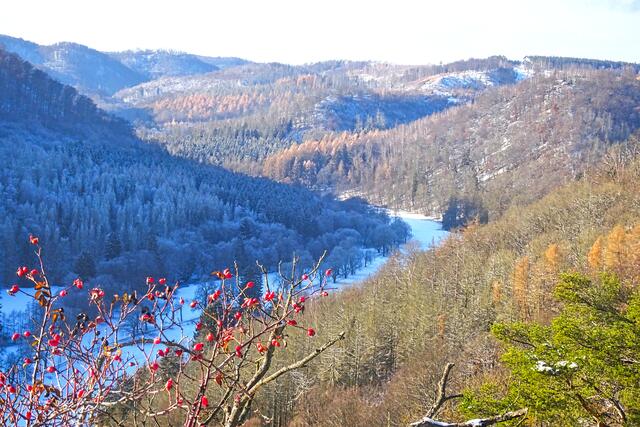 Blick von der Selkesicht ins Selketal