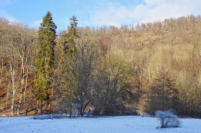 hier mündet der alte Forstweg im Selketal