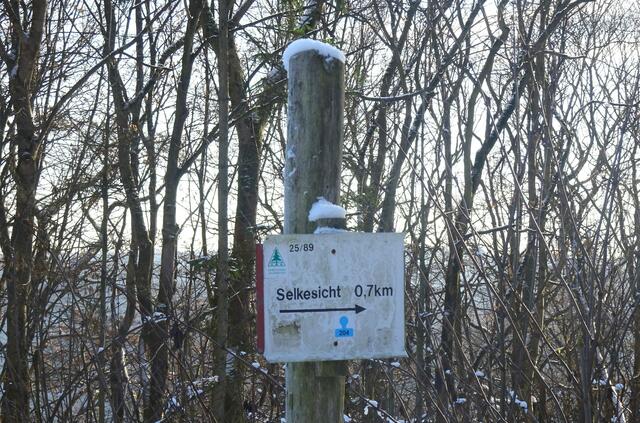 hier trifft der Forstweg auf dem Weg Meisdorfer Trift - Selkesicht