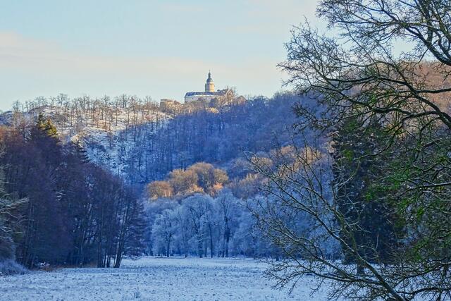 Selketal mit Burg Falkenstein