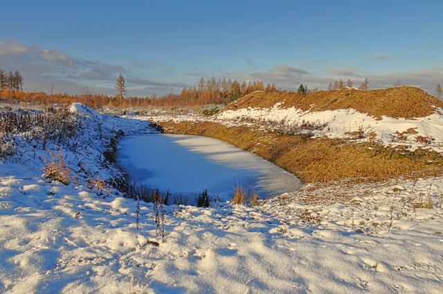 neu angelegter Teich an der Meisdorfer Trift