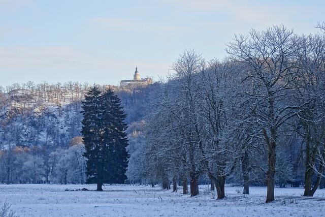 Selketal mit Selketal - Stieg und Burg Falkenstein