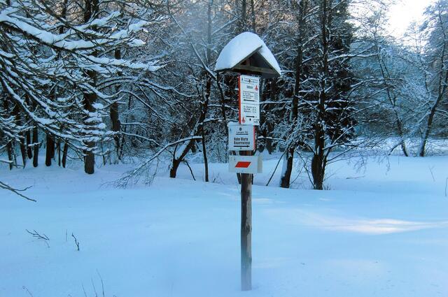 hier mündet das "Lange Tal" im Selketal