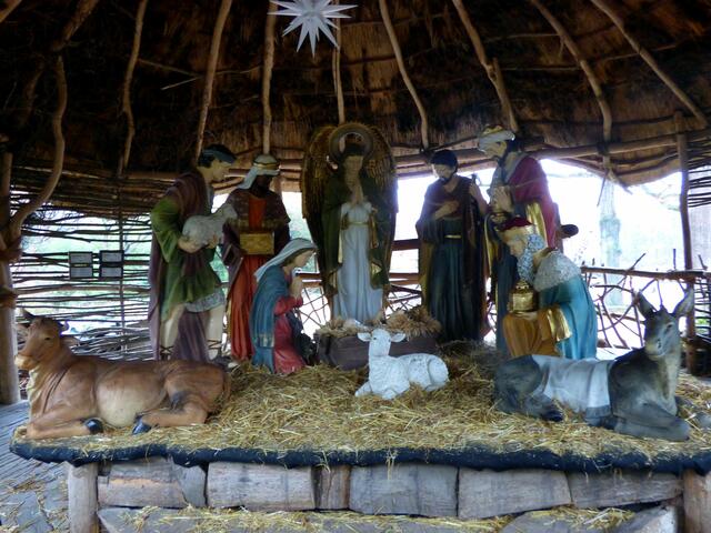Hier ist die Krippe zu Bethlehem