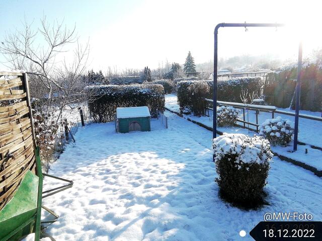 18.12.2022 !!! 4. Advent / Gartenschau - Sonntagsbilder 2022 !!!
Temperaturen: Früh 5:01h  14,7 Grad minus / 11:11h  11,3°  minus / 13:22 h 7,9° minus | Foto: MW-FotoNebra