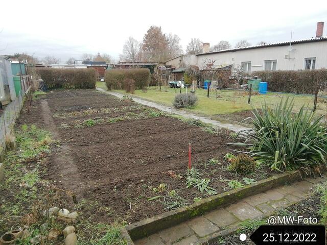 25.12.2022 !!! 1.Feiertag / Gartenschau - Sonntagsbilder 2022 !!!  Temperaturen: Früh 5:34h 2,7 Grad plus / 11:11h 4,3° plus / 13:22 h 6,9° plus | Foto: MW-FotoNebra