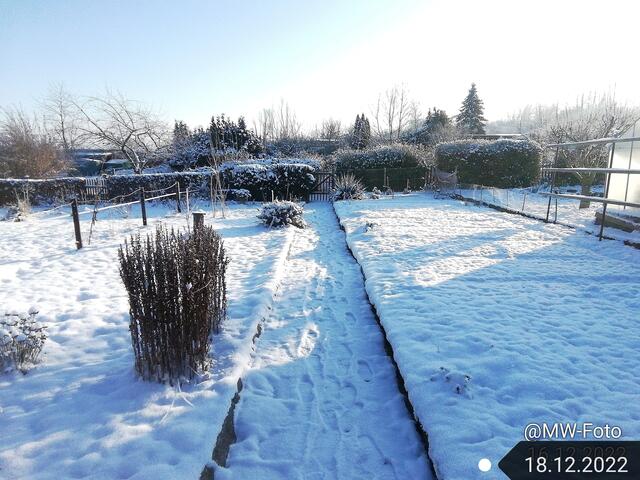 18.12.2022 !!! 4. Advent / Gartenschau - Sonntagsbilder 2022 !!!
Temperaturen: Früh 5:01h  14,7 Grad minus / 11:11h  11,3°  minus / 13:22 h 7,9° minus | Foto: MW-FotoNebra