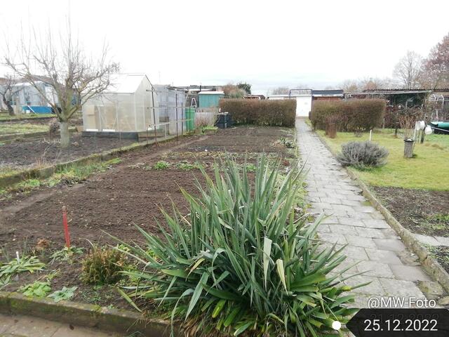 25.12.2022 !!! 1.Feiertag / Gartenschau - Sonntagsbilder 2022 !!!  Temperaturen: Früh 5:34h 2,7 Grad plus / 11:11h 4,3° plus / 13:22 h 6,9° plus | Foto: MW-FotoNebra