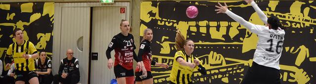 Alina Grijseels, Annika Lott (ten Goals), Nathalie Hendrikse (Top Rechtsaußen des THC), Zoe Sprengers (miederländische Nationalspielerin, Linksaußen) und Nicole Roth, einst bei der NSU...
FotoArchiv Merkel+Merkel