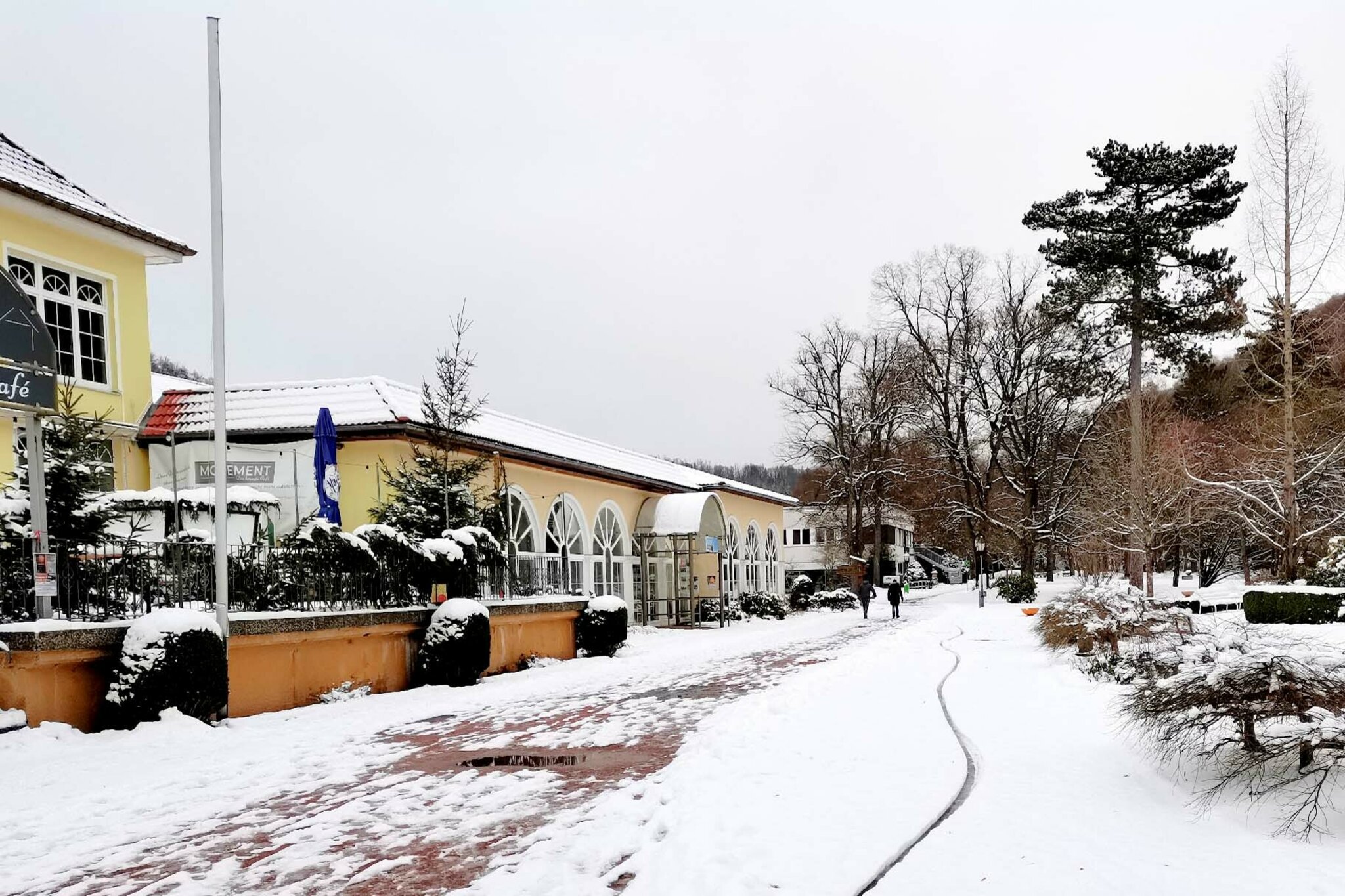 WgiR erarbeitet neue Kurparkordnung: „Ein Kurpark muss erhalten bleiben ...