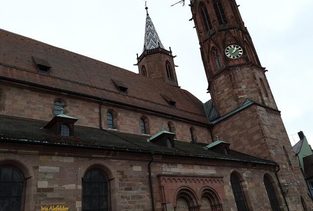 Foto: Iris Alefelder