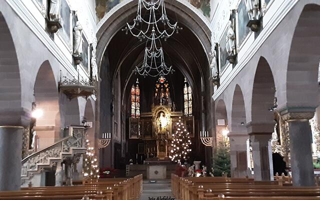 Foto: Iris Alefelder