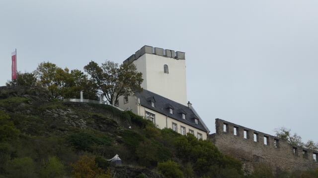 Burg Sterrenberg oberhalb von Kamp-Bornhofen
