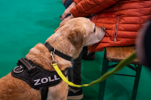 afa-Immobilientage-VOLT 2023 - Die Zollfahndung demonstriert den Einsatz eines Drogenspürhunds | Foto: FSeventfoto
