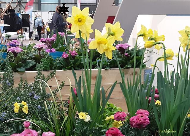 Foto: Iris Alefelder