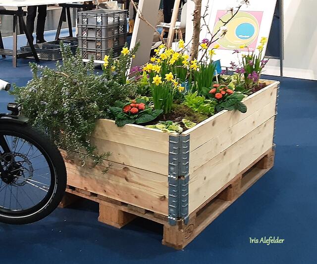 Foto: Iris Alefelder