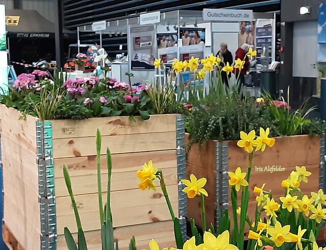 Foto: Iris Alefelder