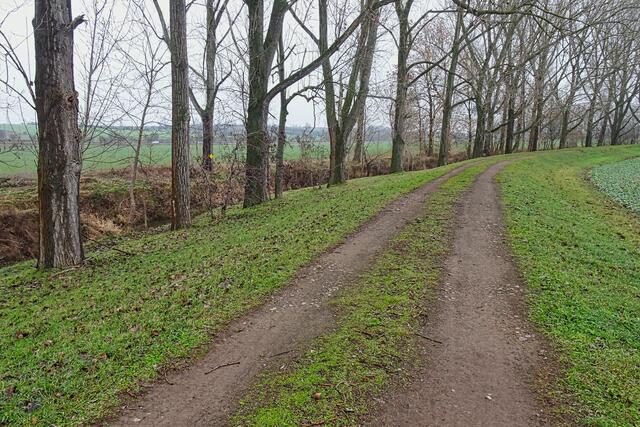 Hochwasserschutzdamm der Wipper mit Wipperradweg 