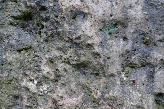 hier auf dem Bild sind noch deutlich Spuren der in die Speckseite eingeschlagenen Eisennägel zu erkennen