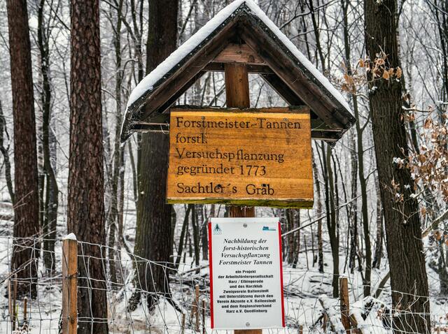 Forstmeister - Tannen (Archiv)