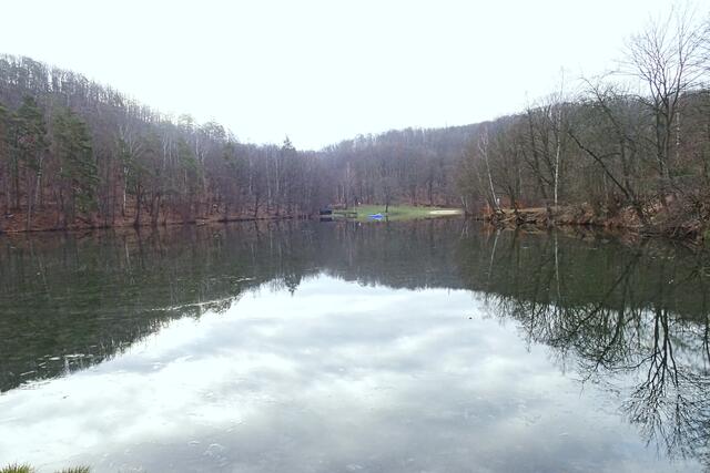 Osterteich im Winter, im Osterteich wird das Wasser des Wellbaches angestaut