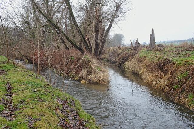 die Einemündung, rechts befindet sich  die Eine 