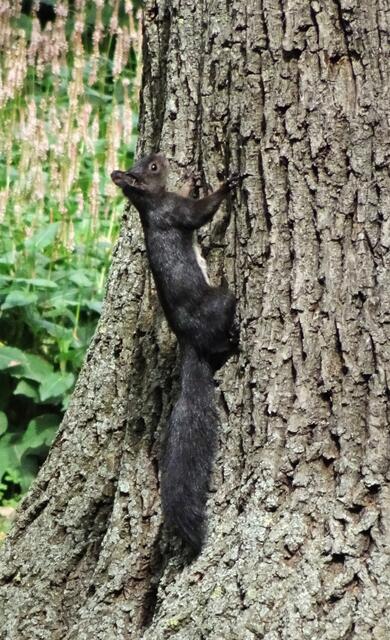 Im Stadtpark (Archiv)