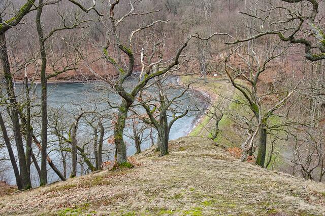 Blick von der Hubertushöhe auf den Kleinen Siebersteinteich