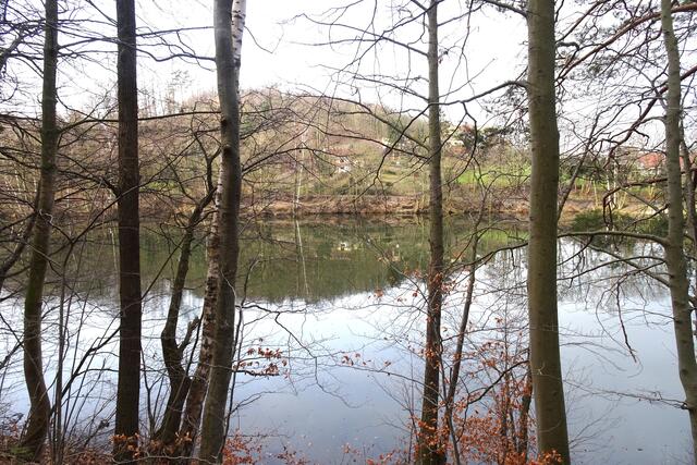 Blick vom Ostseite des Osterteiches auf dem Gernröder Osterberg