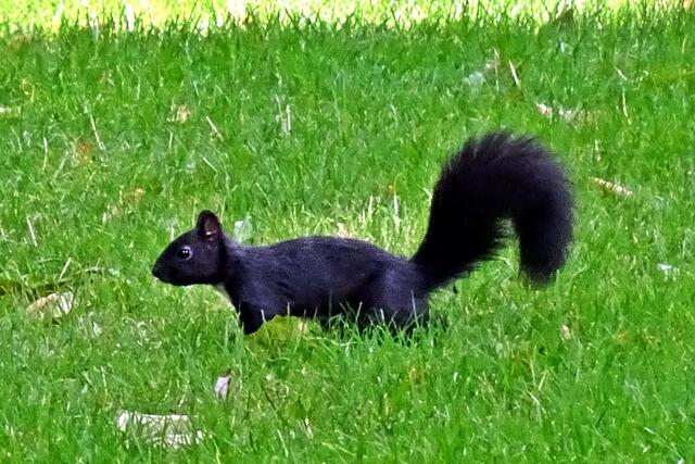 im Stadtpark (Archiv)