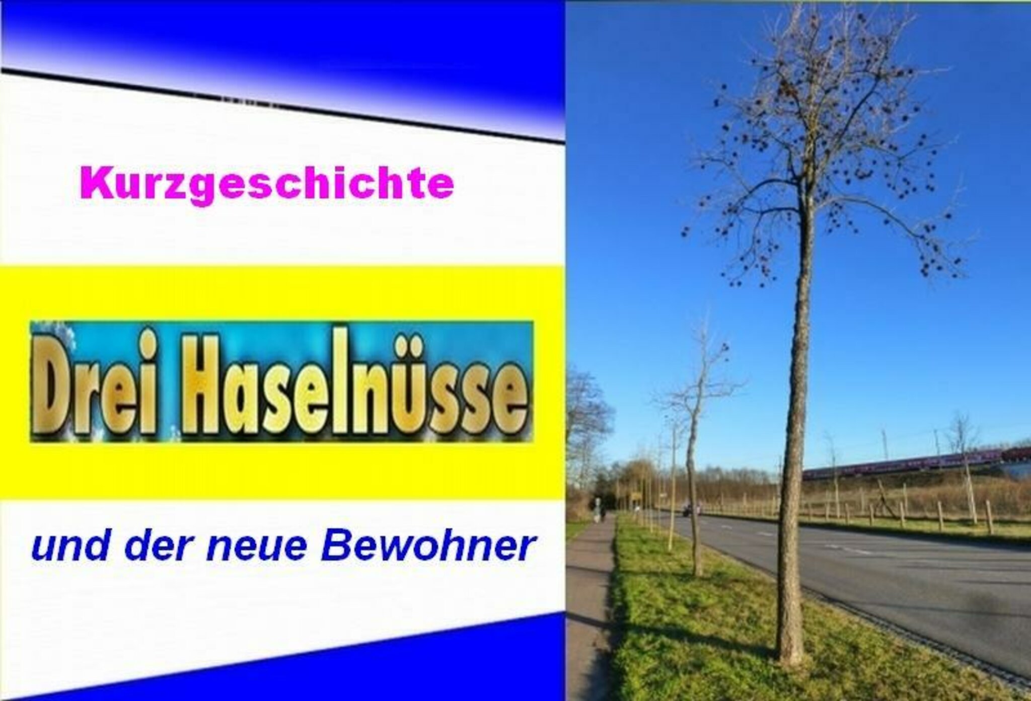 Eine kleine Geschichte: Entdeckt in meinem Archiv - Lutherstadt Wittenberg