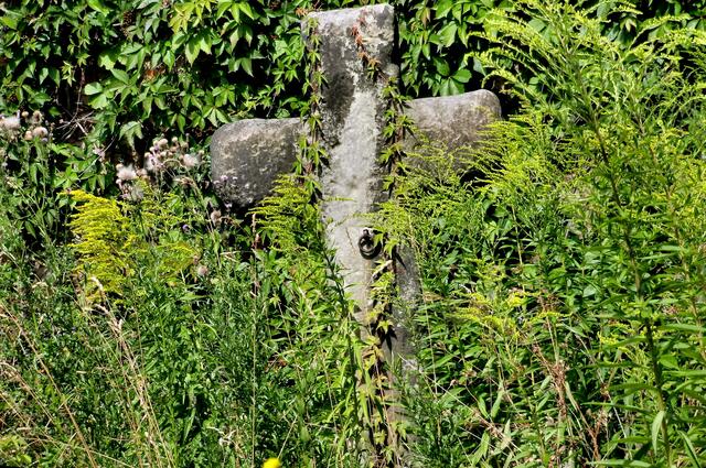 Steinkreuz - Sühnekreuz auf dem Grundstück Lindenstr.49 in Aschersleben. An diesem, am Steinkreuz befestigten, Ring wurden zu früheren Zeiten Tiere angebunden (Archiv)