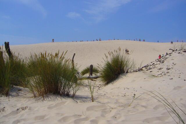 Und nach einer längeren Strandwanderung erreichen wir den Slowinski-Nationalpark, auch "Polnische Sahara" genannt. Bis zu 50 Meter hoch sind diese riesigen Wanderdünen.