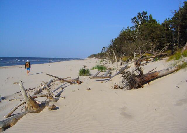 Nach viel Stadt erreichen wir zum Ende unserer Reise den weißen Ostseestrand. Schönste Natur, soweit das Auge reicht.