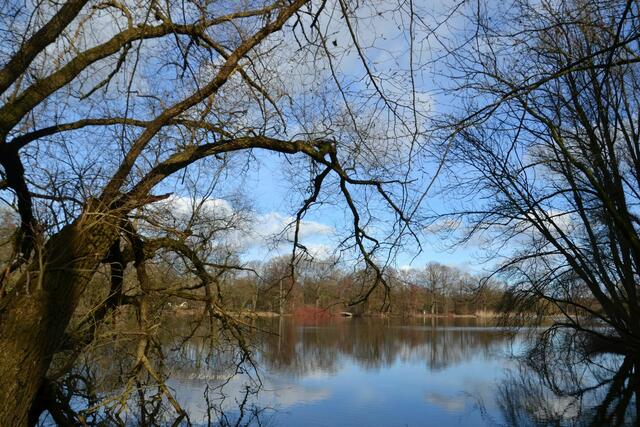 Rund um den Annateich im Hermann-Löns-Park Hannover (Foto: Katja Woidtke)